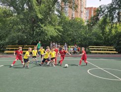 img (5)